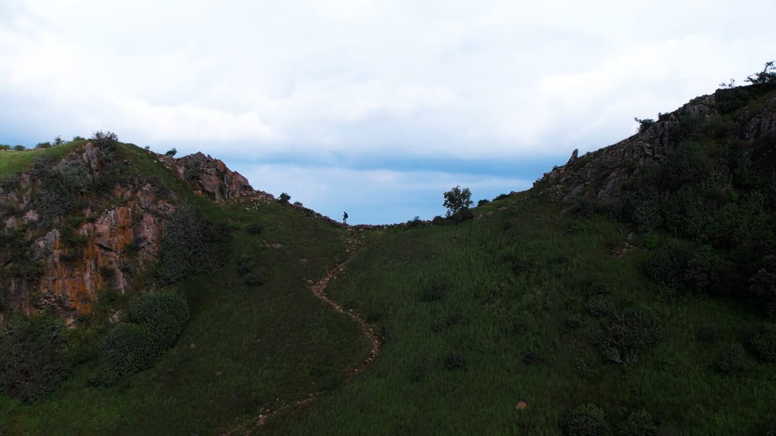 A narrow trail along a green ridgeline of the southern Aravalis