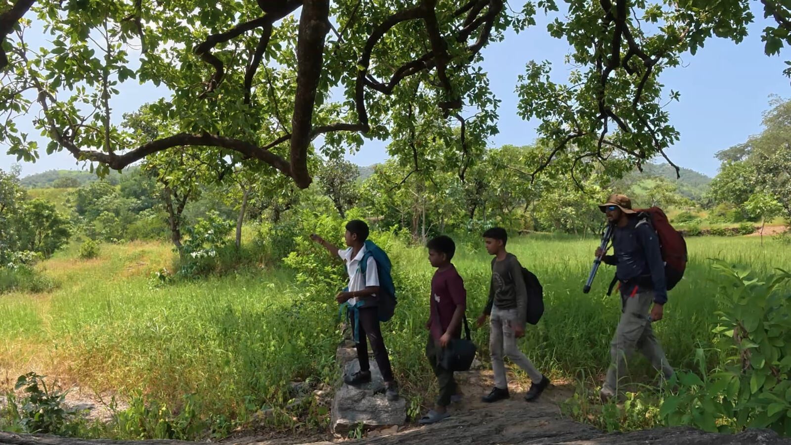 Three village boys and a trek leader walking through lush green monsoon fields in the Kumbhalgarh Aravalis